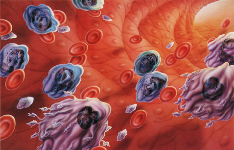 *霜砒**毒药还是药品,它治疗白血病,到底靠谱不靠谱?