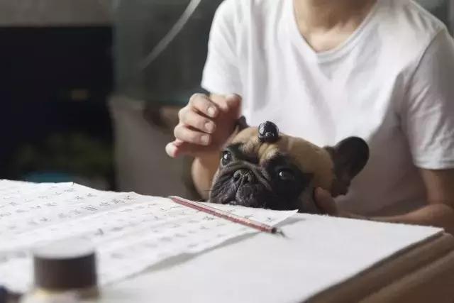 36㎡打造乐活居，你什么样，生活就什么样！