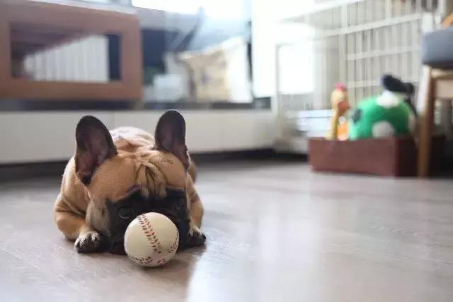 36㎡打造乐活居，你什么样，生活就什么样！