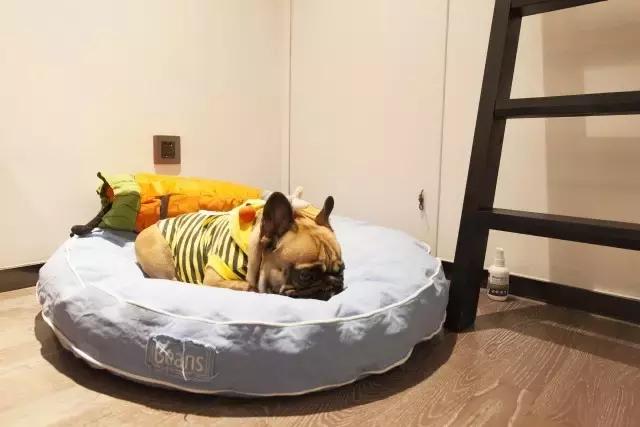 36㎡打造乐活居，你什么样，生活就什么样！