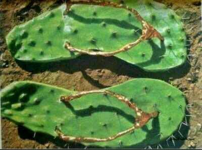 淘宝上的鞋是真的还是假的,淘宝同一个鞋款却不同的价钱