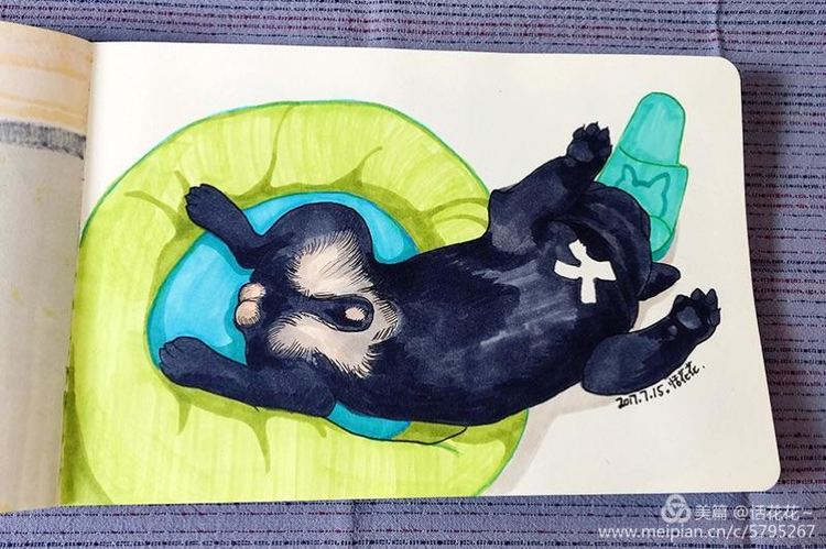 灏忕嫍ins椋庣畝鍗曞張濂界湅缁樼敾,钀屽疇鐙楃嫍缁樼敾浣滃搧