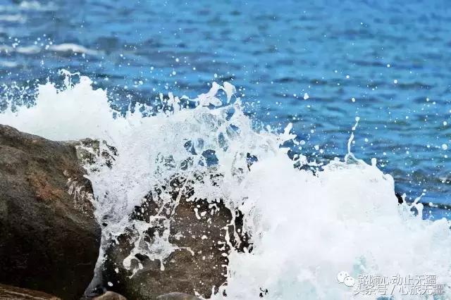 越南旅游吃大龙虾 (越南芽庄烤龙虾多少钱)