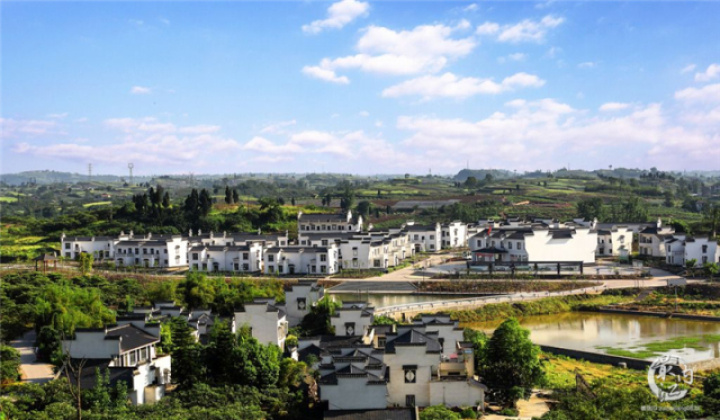 2020年威远无花果节,四川无花果节