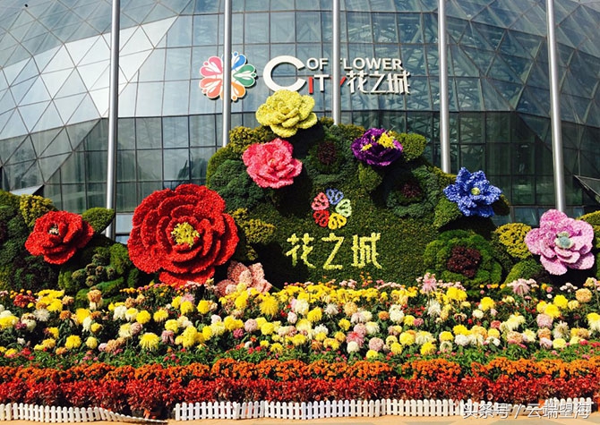 一万块钱去云南吃住一万块钱够吗,云南是个好地方原版