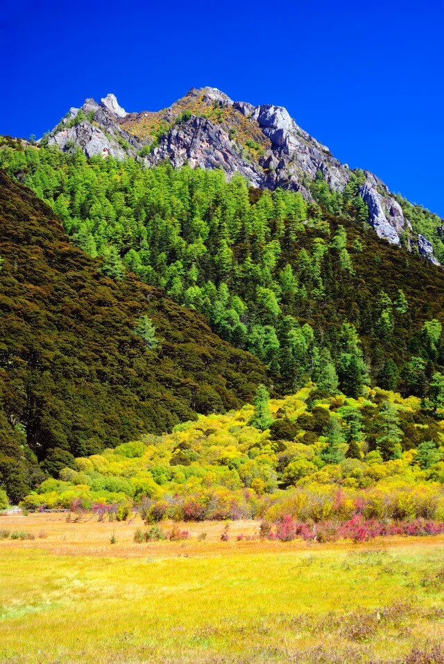 偏振镜的作用明显吗,偏振镜有必要用吗