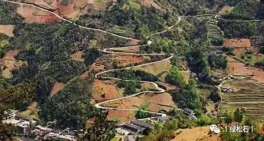 湖北松菌最多的地方,湖北松是什么意思