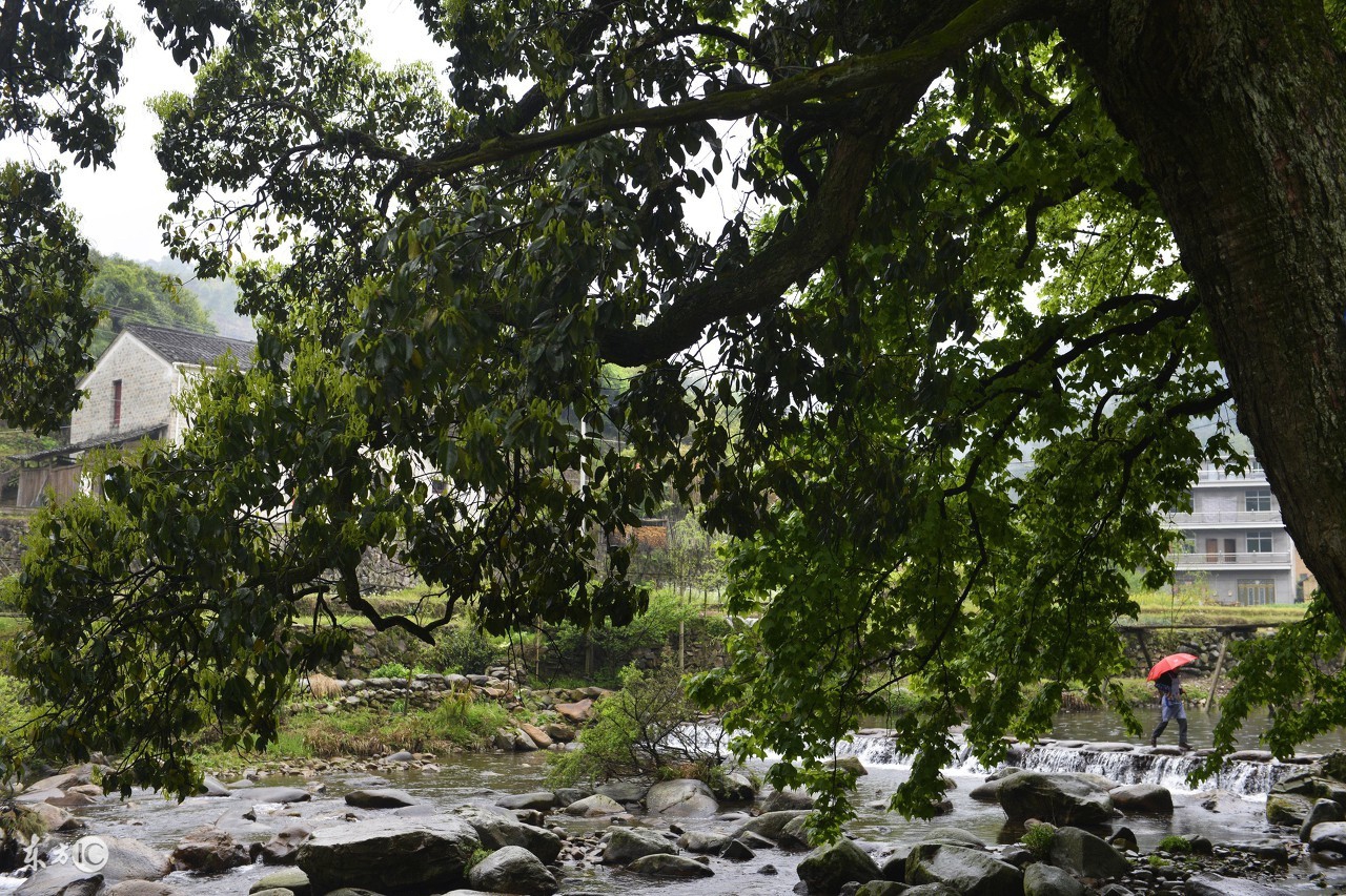 武义牛头山森林公园爬山,武义牛头山国家森林公园玻璃栈道