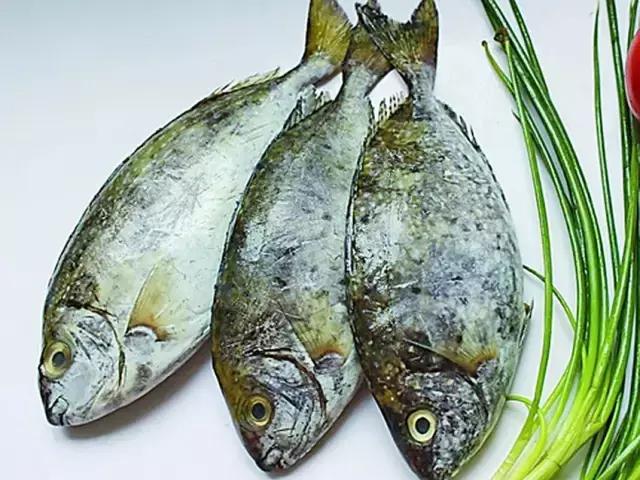 《一啸渔乐》常见的海鱼你认识多少?