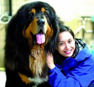 娱乐圈明星胡歌,娱乐圈男明星胡歌