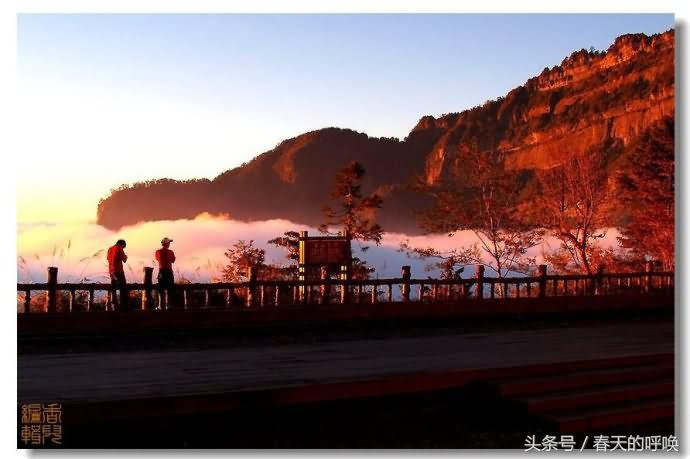 台湾阿里山仙境美如画,台湾省阿里山风景
