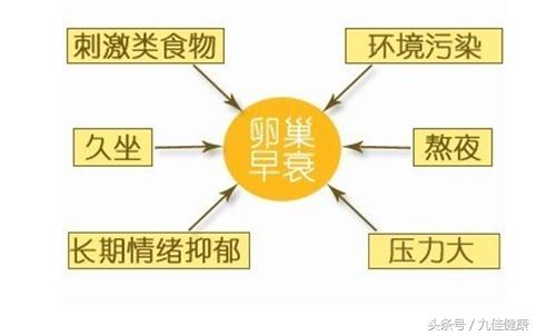 月经周期短卵巢早衰,月经期间卵巢保养标准