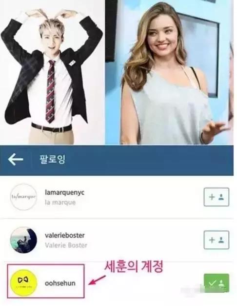 明星追星也疯狂彭于晏杨紫,朴灿烈鹿晗蔡徐坤权志龙张艺兴