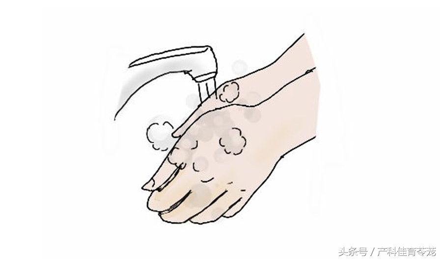 怀孕以后还能养狗吗,怀孕以后还能养狗呗