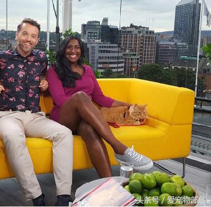 鍙互鎷夐洩姗囩殑鐚挭,浼氭媺闆﹪鐨勭尗