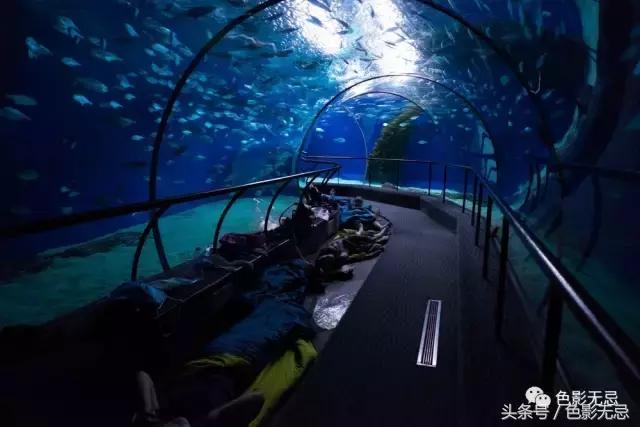 尼康富士索尼徕卡 (徕卡和索尼相机哪个好)