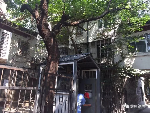 跟着辣妹逛胡同之二，带你看看20万的猫~菊儿胡同走起