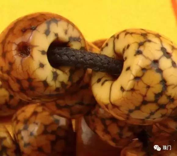 星月菩提推荐高密度,星月菩提正月是什么时候开始的