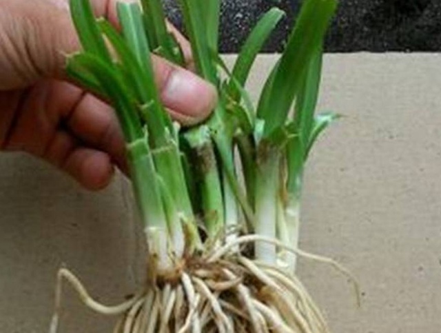 妇科炎症吃什么食物调理好,妇科病最怕吃什么食材