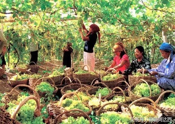 南京必买的十大特产零食,沈阳必买十大特产去哪买