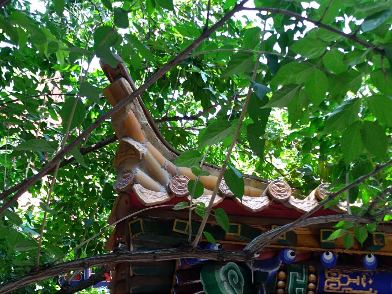 诗游记连载,诗游记全集