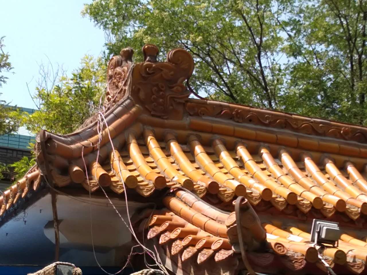 诗游记连载,诗游记全集