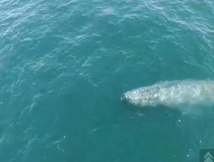 搞笑：看着她有没有想到什么？一不小心发现哆啦A梦的真实目的，看来这孩子肯定见过什么？