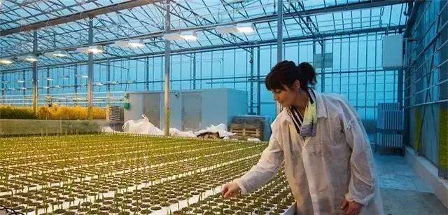 肌肤干燥、易脱妆、爱出油、质感差？我想你们应该还是有救的！