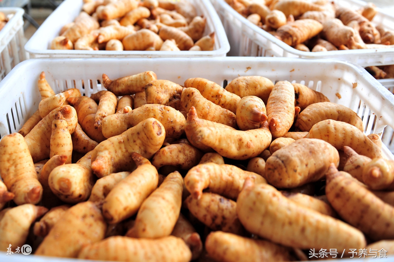 天麻长啥样天麻三种人不宜吃 (天麻是补品吗哪几种病的人不能吃)