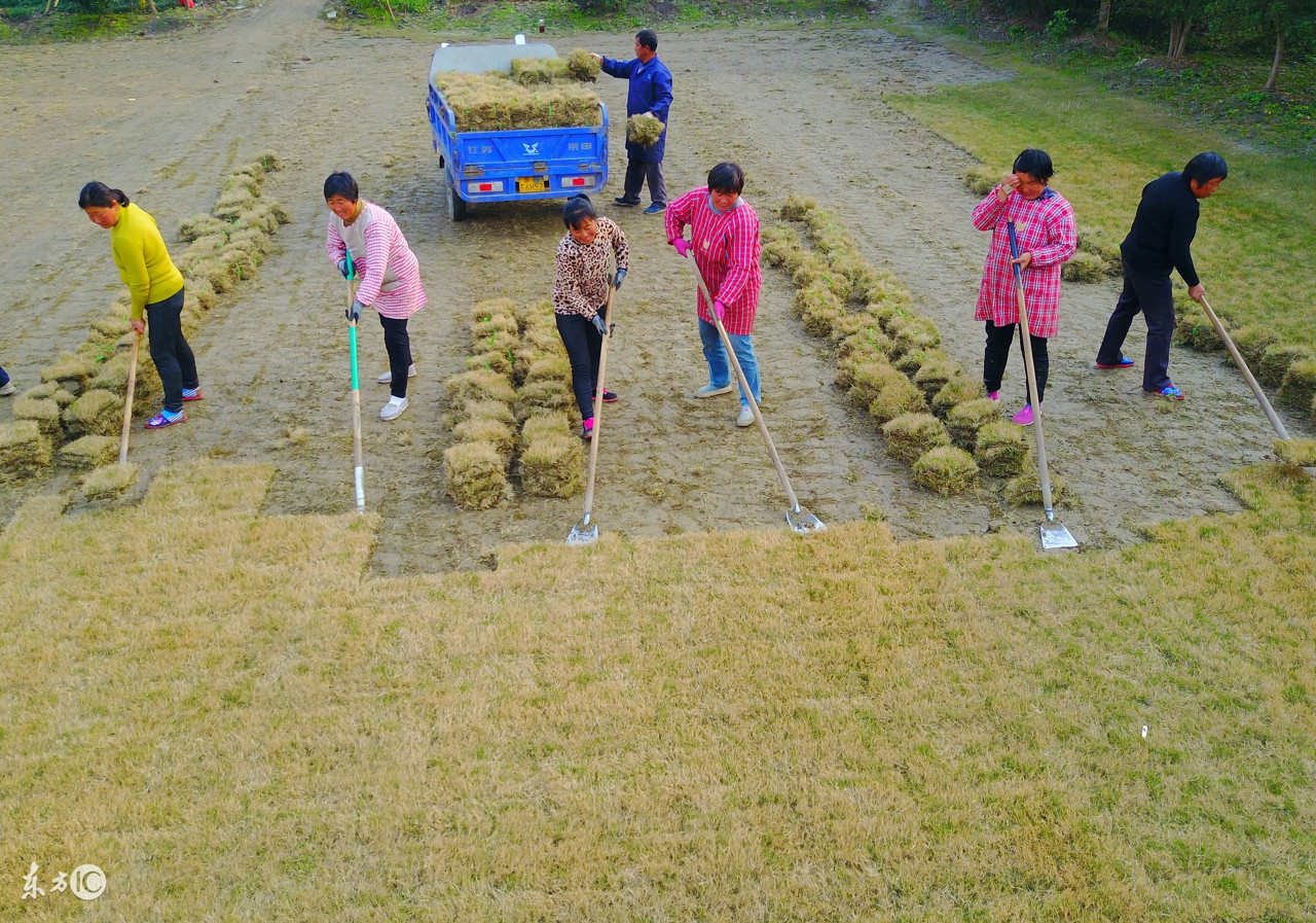 农业互联网的发展要求,农业互联网思维方式