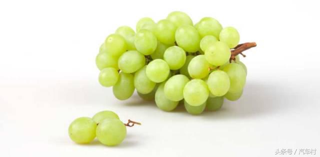 爱车被动物入侵怎么办,爱车遭小猫破坏