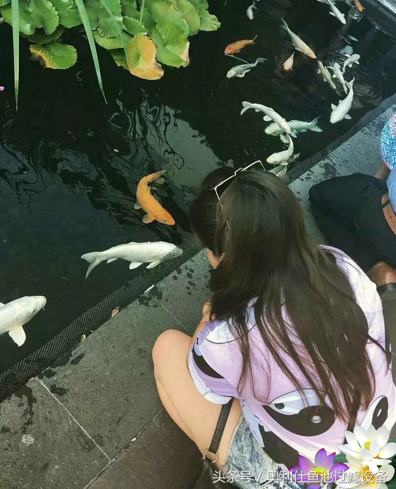 不会撩妹的锦鲤，不是一条好锦鲤！