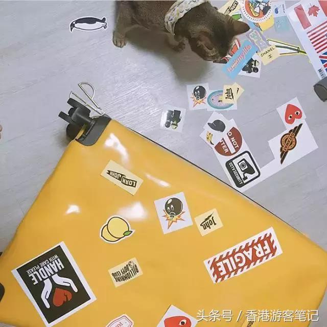 85后仙女别再买LV了！这些大牌真的不贵！