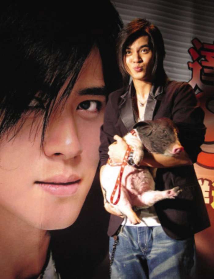 娱乐圈明星胡歌,娱乐圈男明星胡歌