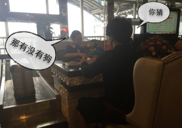 娱乐圈明星胡歌,娱乐圈男明星胡歌