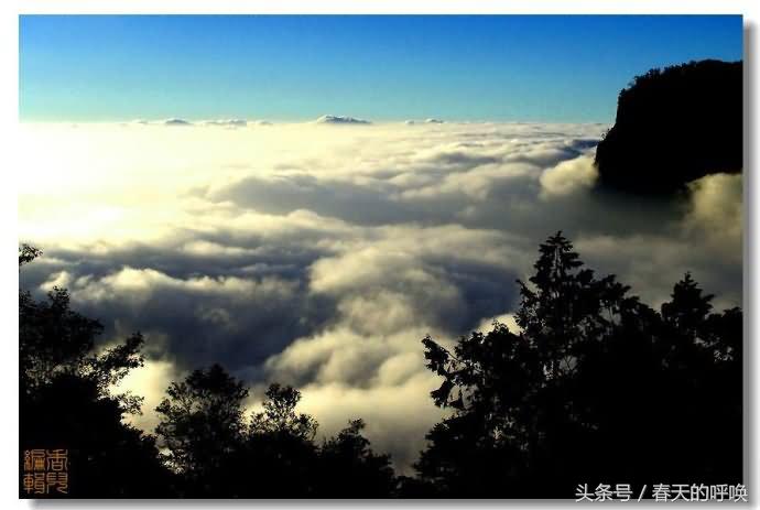 台湾阿里山仙境美如画,台湾省阿里山风景