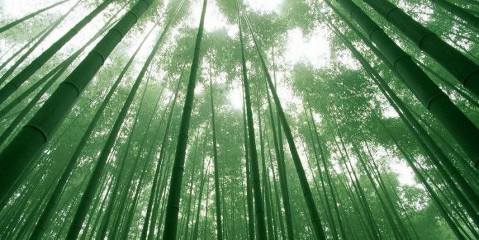 七天辟谷法怎么辟谷,初学辟谷必知的辟谷期间十种变化