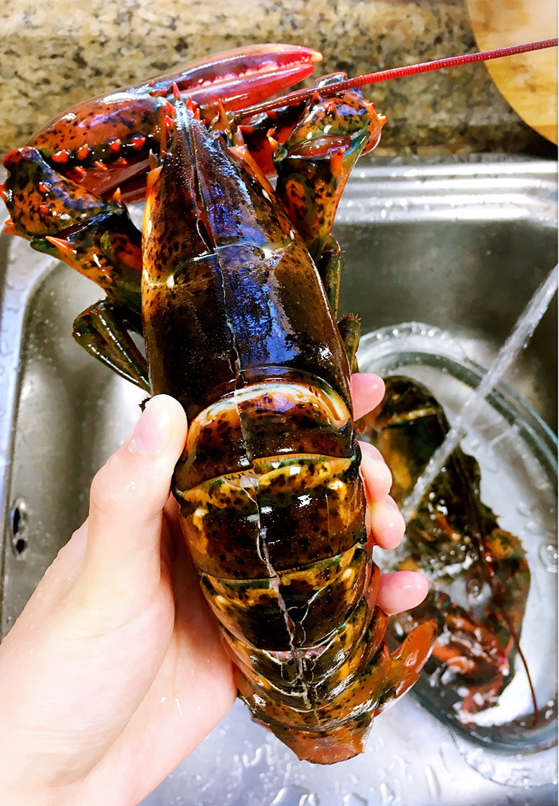 粉丝蒜蓉波士顿大龙虾的做法大全,蒜蓉大龙虾