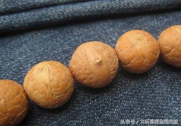 凤眼菩提和佛眼菩提区别,念青唐古拉介绍