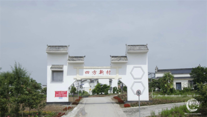 2020年威远无花果节,四川无花果节