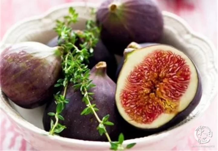 2020年威远无花果节,四川无花果节