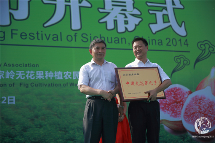 2020年威远无花果节,四川无花果节