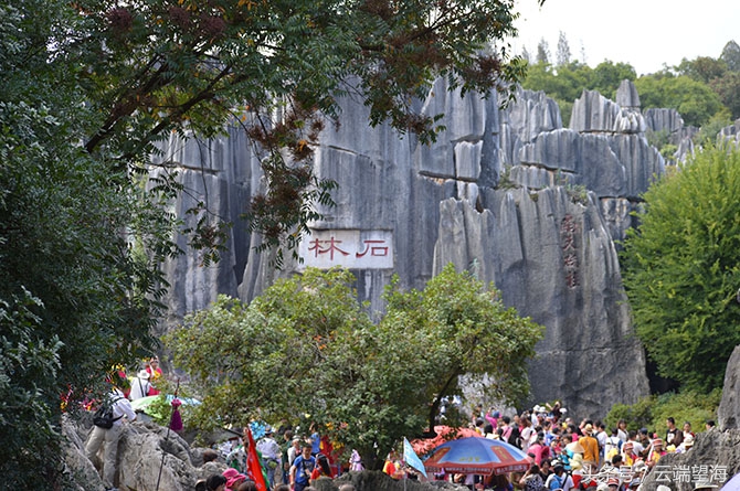 一万块钱去云南吃住一万块钱够吗,云南是个好地方原版