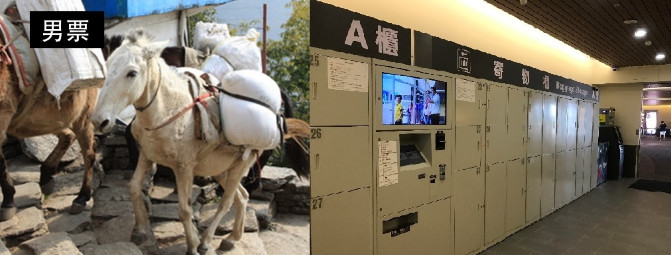 逛奥特莱斯商场攻略,中国奥特莱斯购物攻略