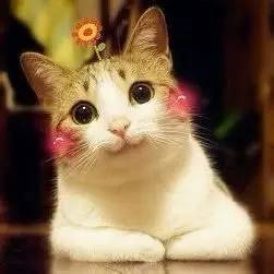 脸都没洗干净，护肤还有什么用！5款超人气洁面乳测评