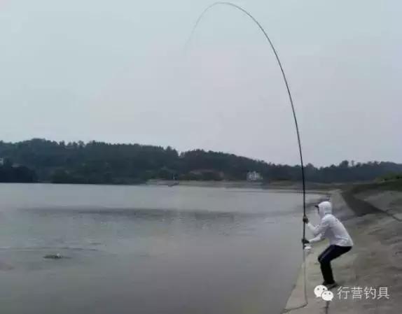 半价活动快来抢购,半价狂欢活动来袭