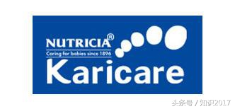 雀巢有哪些米粉品牌,全球十大品牌奶粉