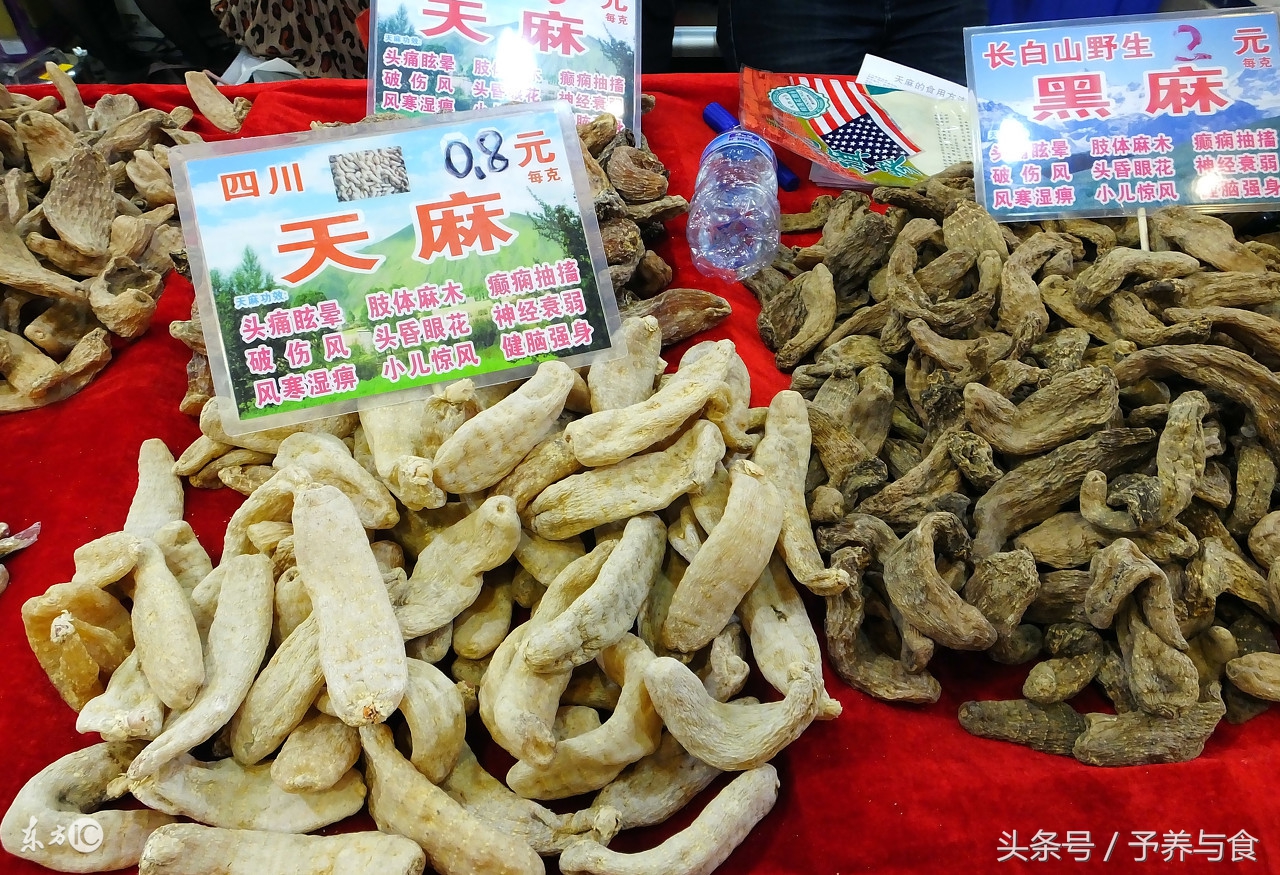 天麻长啥样天麻三种人不宜吃 (天麻是补品吗哪几种病的人不能吃)