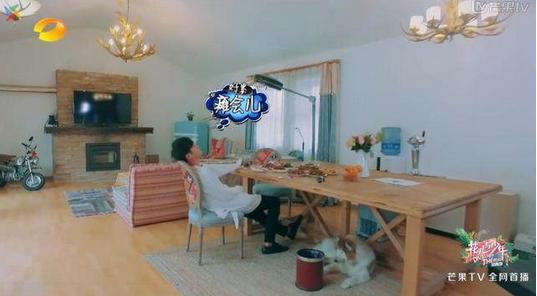 张若昀的家，明星中最接地气的别墅