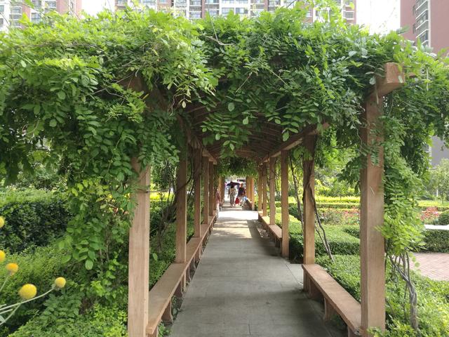 潍坊市圣基福安家园电梯,潍坊福安家园圣基铭座六楼价格